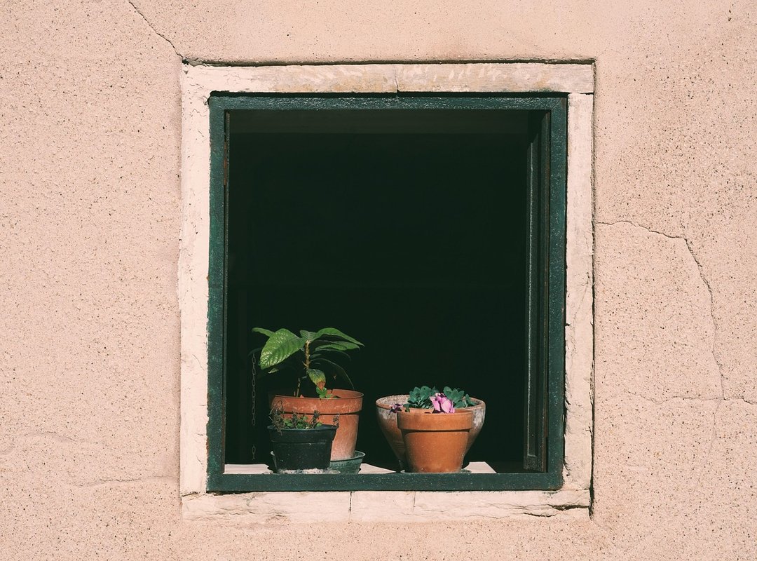 business culture insights