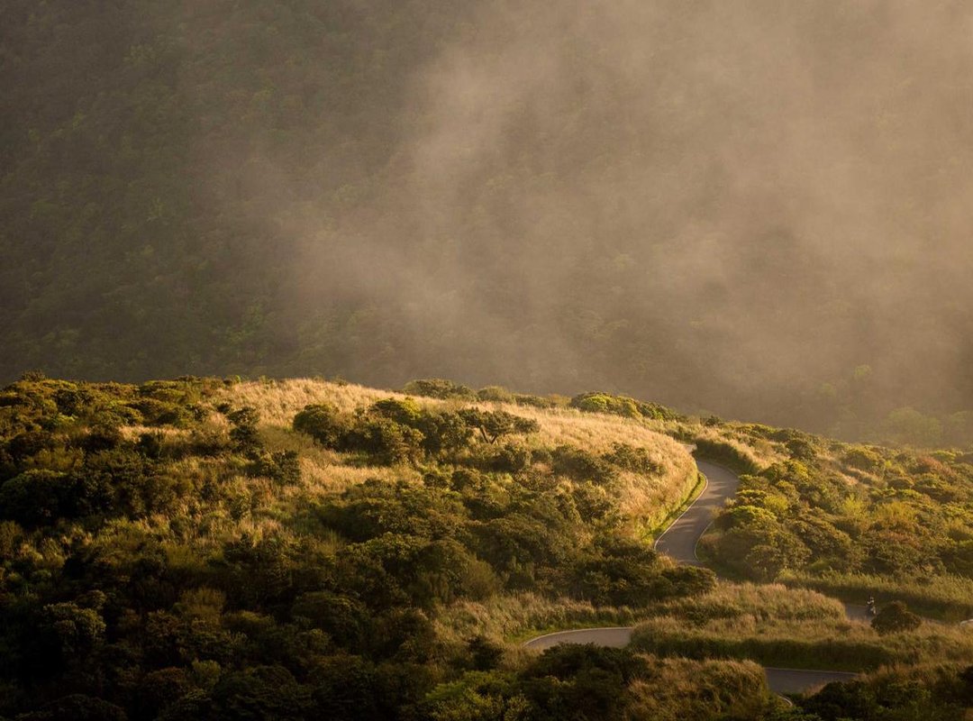 Evaluating the Content Library: Production Quality, Variety, and Themes