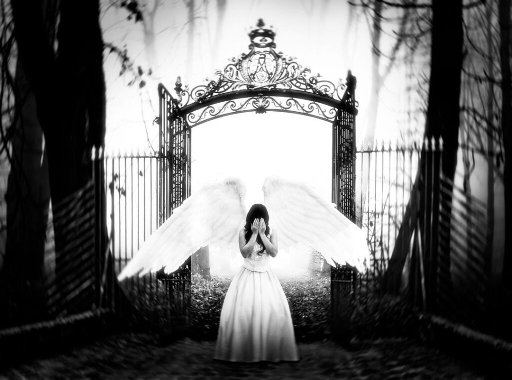 evanita onlyfans leaked