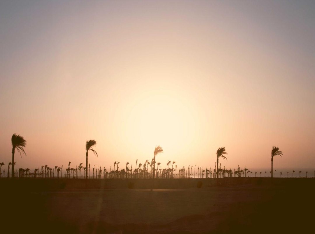 The Free vs. Paid Debate: Is a Subscription Worth It?